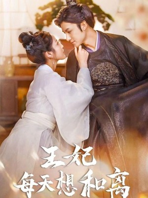 王妃每天想和离