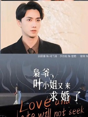 枭爷，叶小姐又来求婚了