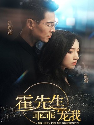 霍先生乖乖宠我