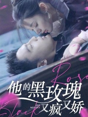 他的黑玫瑰又疯又娇