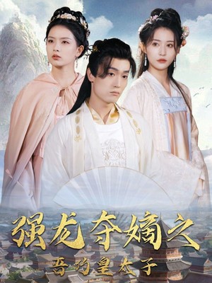 强龙夺嫡之吾乃皇太子