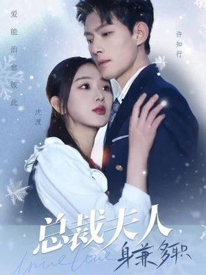 总裁夫人，身兼多职