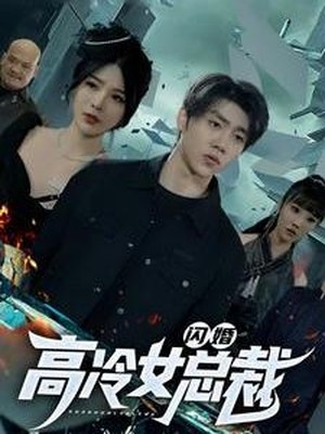 闪婚高冷女总裁