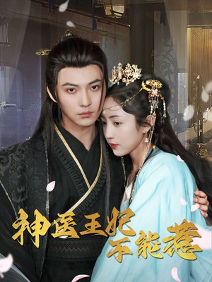 神医王妃不能惹