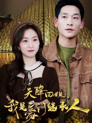 天降四姐，我是豪门继承人