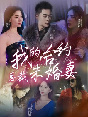 我的合约总裁未婚妻