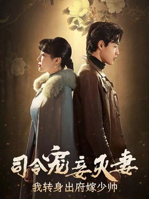 司令宠妾灭妻，我转身出府嫁少帅