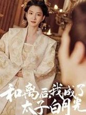 和离后，我成了太子白月光