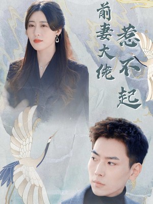 前妻大佬惹不起