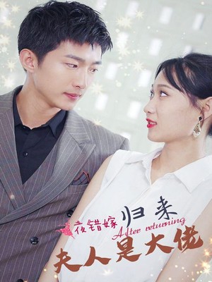 一夜错嫁归来夫人是大佬