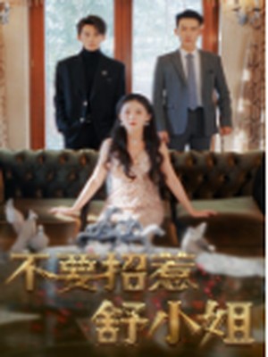 不要招惹舒小姐