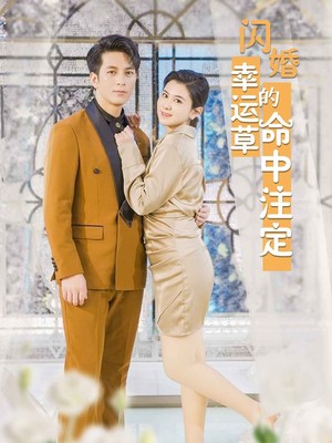闪婚幸运草的命中注定