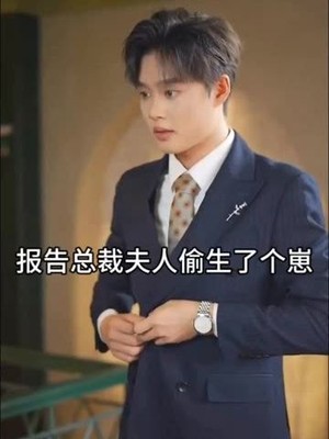 报告总裁，夫人偷生了个崽