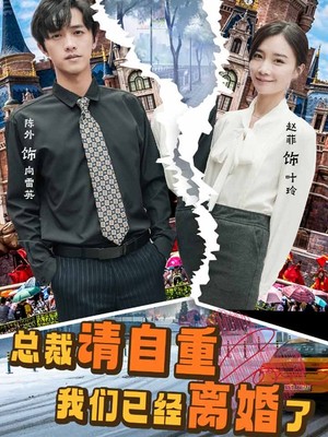 总裁请自重我们已经离婚了