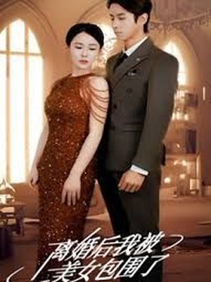 离婚后，我被美女包围了