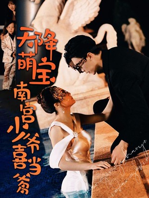 天降萌宝：南宫少爷喜当爹