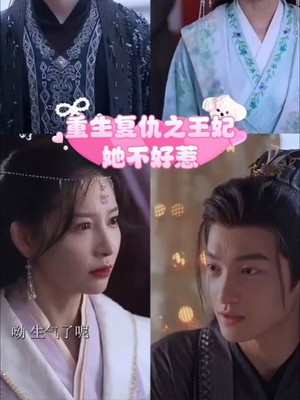 重生复仇之王妃她不好惹