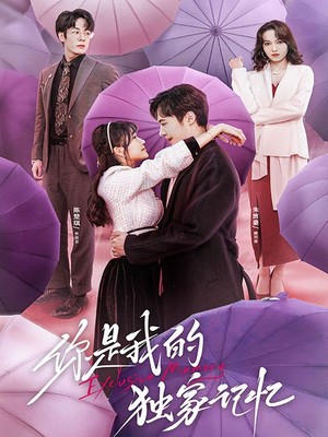 你是我的独家记忆