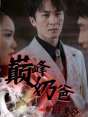 巅峰奶爸的寻妻路