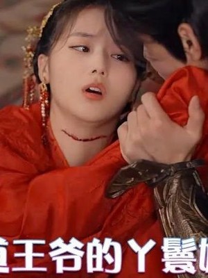 霸道王爷的丫鬟娇妻