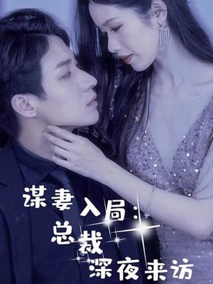 谋妻入局：总裁深夜来访