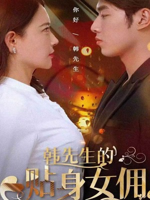 韩先生的贴身女佣