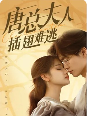 唐总夫人不好惹