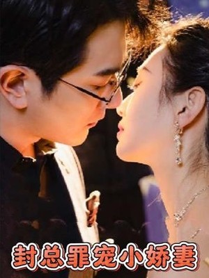 封总罪宠小娇妻