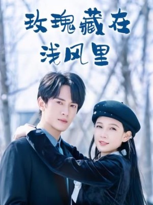 玫瑰藏在浅风里