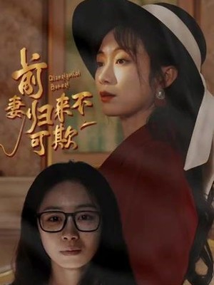 前妻归来不可欺