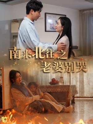 南来北往之老婆别哭