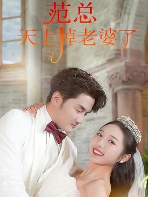 范总，天上掉老婆了