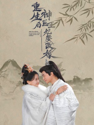 重生后神医王妃要改嫁