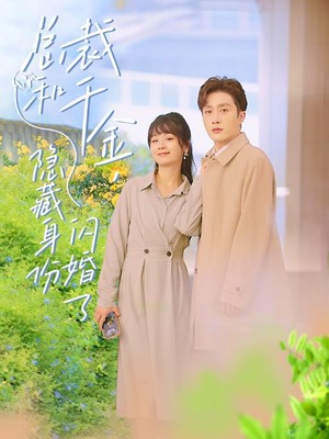 总裁和千金，隐藏身份闪婚了