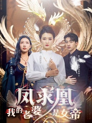 凤求凰我的老婆是女帝