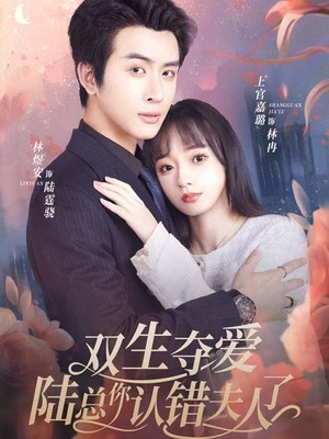 双生夺爱陆总你认错夫人了