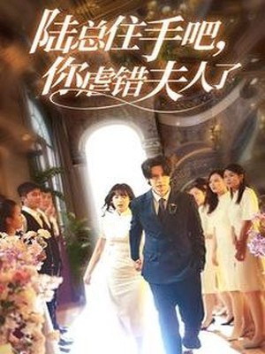 陆总住手吧，你虐错夫人了