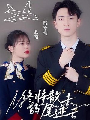 终将散去的尾迹云