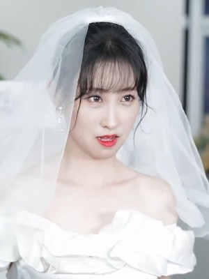 纪念我们遗失的爱