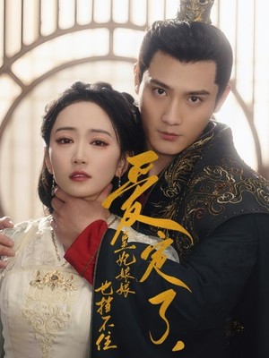 爱定了，皇妃娘娘也挡不住