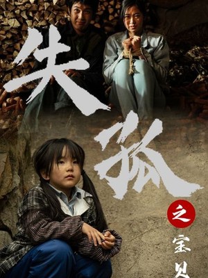 失孤之宝贝回家