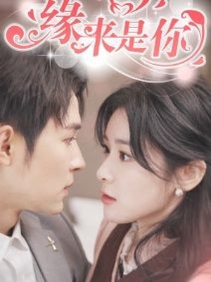 新：缘来是你