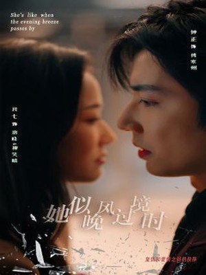 她似晚风过境时