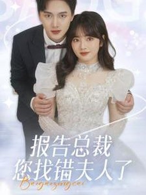 报告总裁您找错夫人了