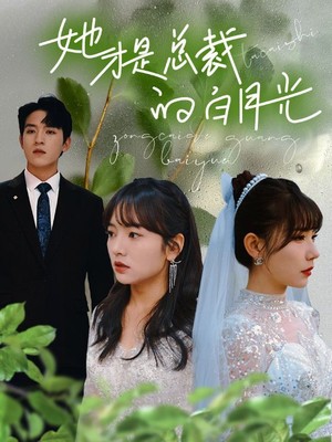 她才是总裁的白月光