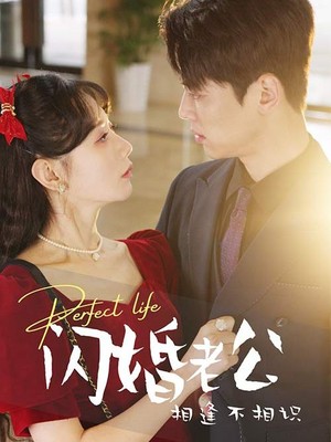 闪婚老公相逢不相识