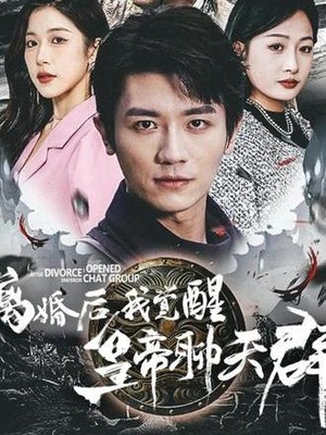 离婚后我觉醒皇帝聊天群