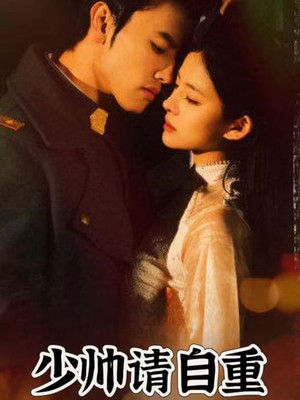 少帅请自重