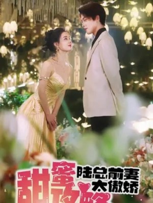 甜蜜攻略：陆总前妻太傲娇