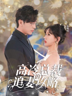 高冷总裁的追妻攻略